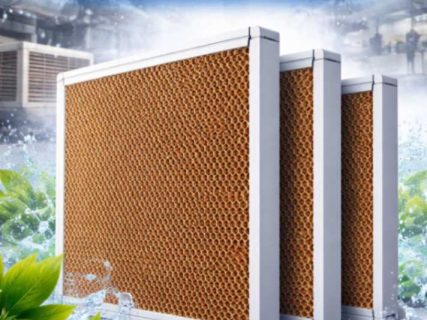 jpeg-optimizer_WhatsApp Image 2026-02-19 at 2.24.10 AM (1)