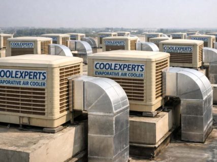 jpeg-optimizer_WhatsApp Image 2026-02-19 at 2.24.10 AM